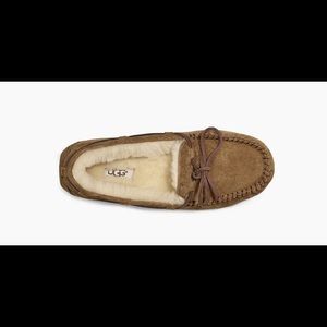 ugg dakota slippers in chestnut